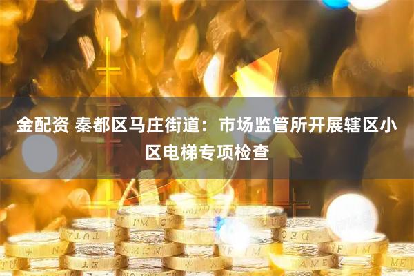 金配资 秦都区马庄街道:市场监管所开展辖区小区电梯专项检查
