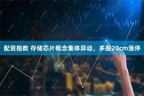 配资指数 存储芯片概念集体异动，多股20cm涨停