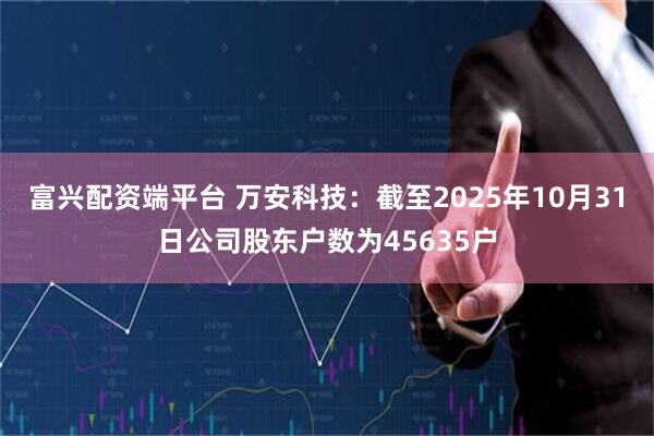 富兴配资端平台 万安科技：截至2025年10月31日公司股东户数为45635户