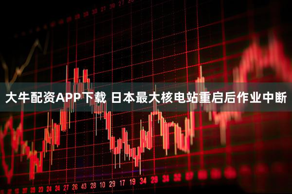 大牛配资APP下载 日本最大核电站重启后作业中断